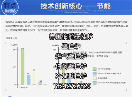 營(yíng)口壁掛采暖爐專業(yè)選購(gòu)與技術(shù)咨詢服務(wù)指南